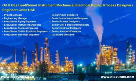 Oil & Gas Lead Senior Instrument Mechanical Electrical Piping Process Designers Engineers Jobs UAE