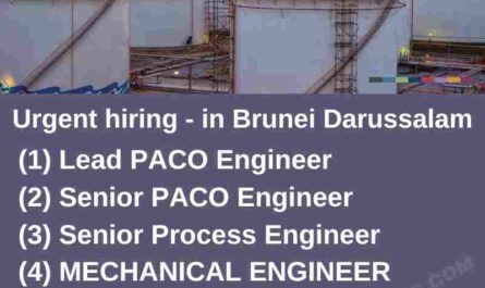 Senior Process MECHANICAL E&I PIPING DESIGNER Engineer Jobs in Brunei Darussalam