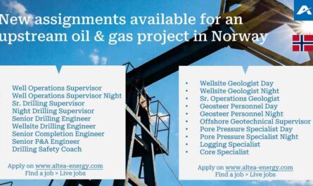 Onshore/ Offshore oil and gas project Jobs in Norway