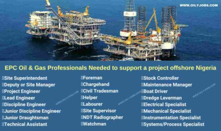 EPC Oil & Gas offshore project Professionals Jobs in Nigeria