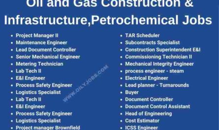 Oil and Gas Construction & Infrastructure, Petrochemical Jobs