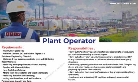 Oil and Gas Plant Operator Job