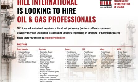 HILL INTERNATIONAL OIL & GAS onshore - offshore PROFESSIONALS Jobs