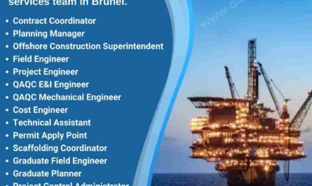 Offshore QAQC E&I Mechanical Engineer Field Engineer Jobs