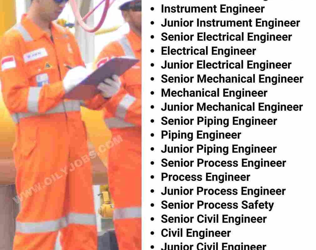 Instrument Electrical Mechanical Process Piping Middle and Senior Engineer Jobs