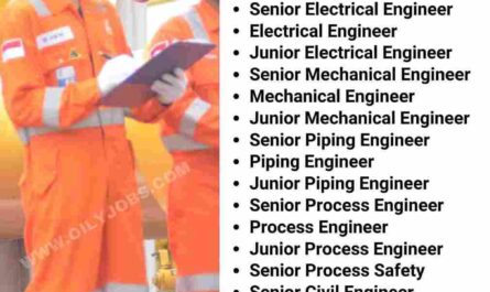 Instrument Electrical Mechanical Process Piping Middle and Senior Engineer Jobs