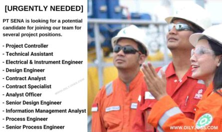 PT Solusi Energy Nusantara Jobs