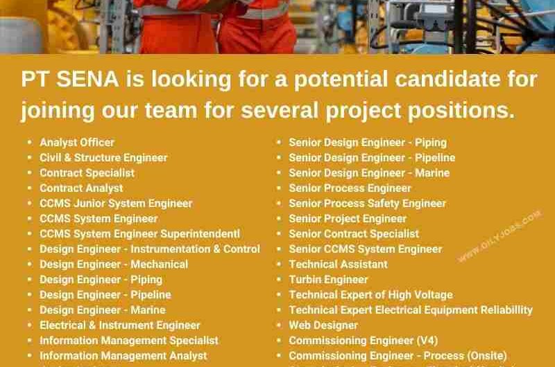 Civil & Structure Electrical Instrument Process Mechanical Design Engineer Piping Jobs