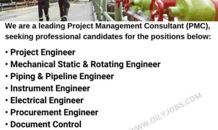 Electrical Instrument Piping & Pipeline Process Civil HSE Process Engineer Jobs