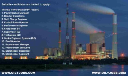 Thermal Power Plant Project Jobs