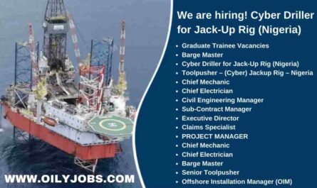 Cyber Jack-Up Rig Drilling Jobs Nigeria