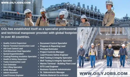 Offshore and onshore oil and gas petrochemical power energy construction Jobs