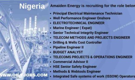 Amaiden Energy Jobs Nigeria