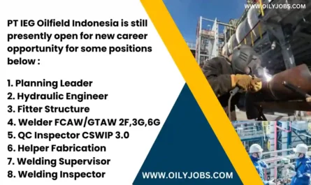 Welding Inspector Supervisor Fitter Structure Jobs in Indonesia