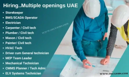 Electrician Carpenter Painter Civil Mechanical Technician Jobs in UAE