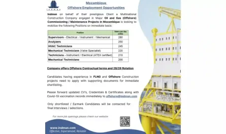 28/28 Rotation Offshore Technicians Jobs in Mozambique