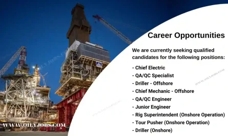 Apexindo Offshore & Onshore Drilling Jobs