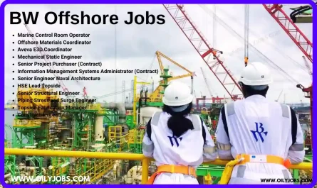 BW Offshore oil and gas Jobs