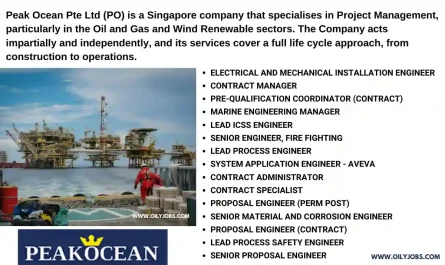 Peak Ocean Singapore Jobs