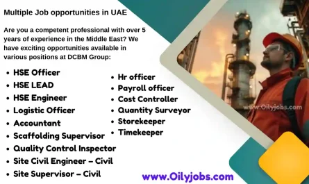 HSE Officer Civil Engineer Quantity Surveyor Timekeeper Jobs in UAE