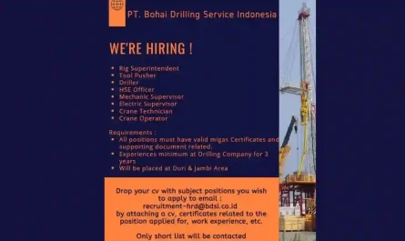 Drilling HSE Officer Tool Pusher Electric Supervisor Crane Operator Jobs in Indonesia