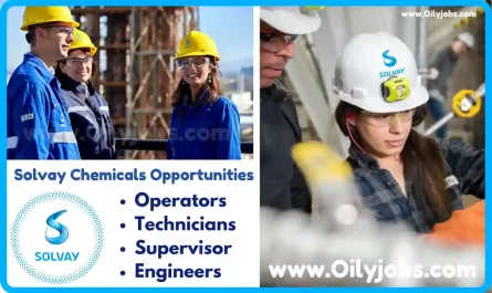 Solvay Chemicals International Job Opportunities