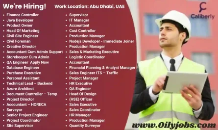 UAE permanent and temporary staffing Jobs