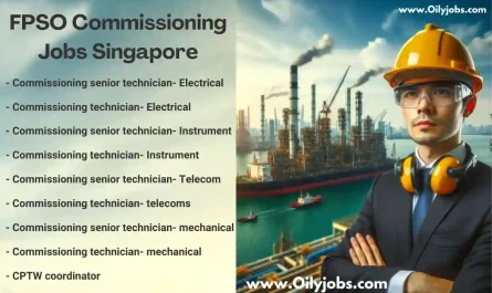 FPSO commissioning project Jobs Singapore