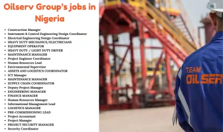 Oilserv Group’s jobs Nigeria