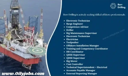 Borr Drilling offshore professionals Jobs