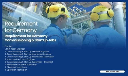 Requirement for Germany Commissioning & Start Up Jobs