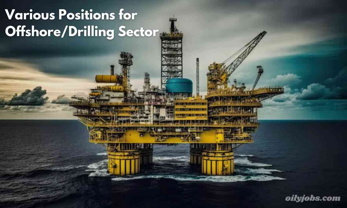 Various Positions for Offshore/Drilling Sector